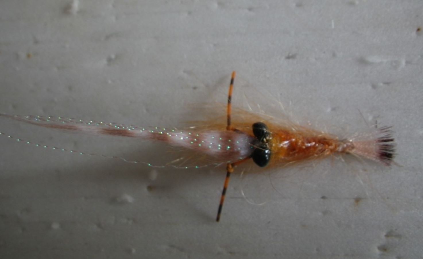 10 mouches - Crevettes d'eau douce nymphe sur un bronze 10 Mustad Hook - Fish307 10 mouches - Crevettes d'eau douce nymphe sur un bronze 10 Mustad Hook - Fish307